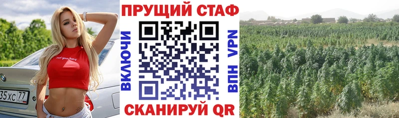 Где можно купить наркотики Заволжск APVP  Мефедрон  Амфетамин  Псилоцибиновые грибы  Гашиш  Бошки Шишки 