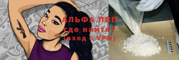 бошки Гусев