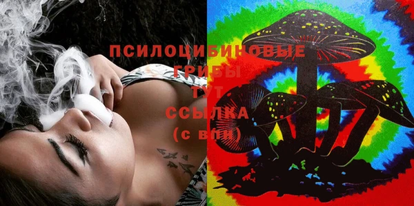 соль ск Гусь-Хрустальный