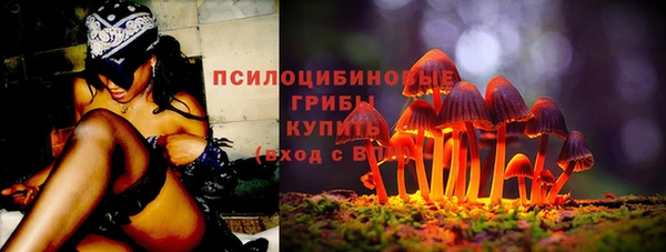 ECSTASY Гусиноозёрск