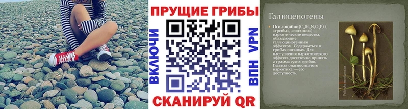 Псилоцибиновые грибы ЛСД  Заволжск 